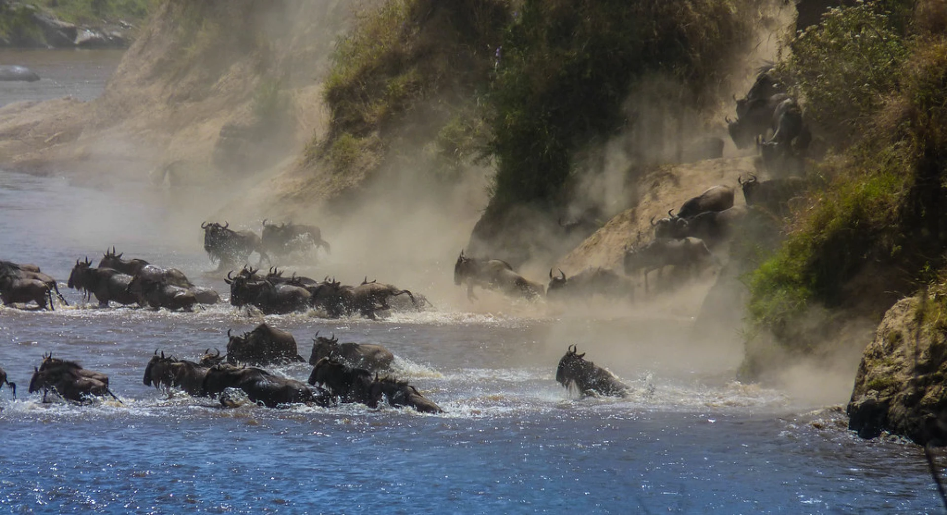 Esencias de Kenia 2026